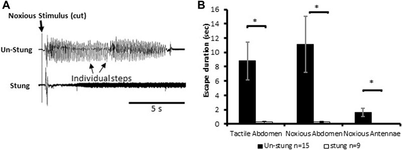 fphys-13-907041-g001.jpg