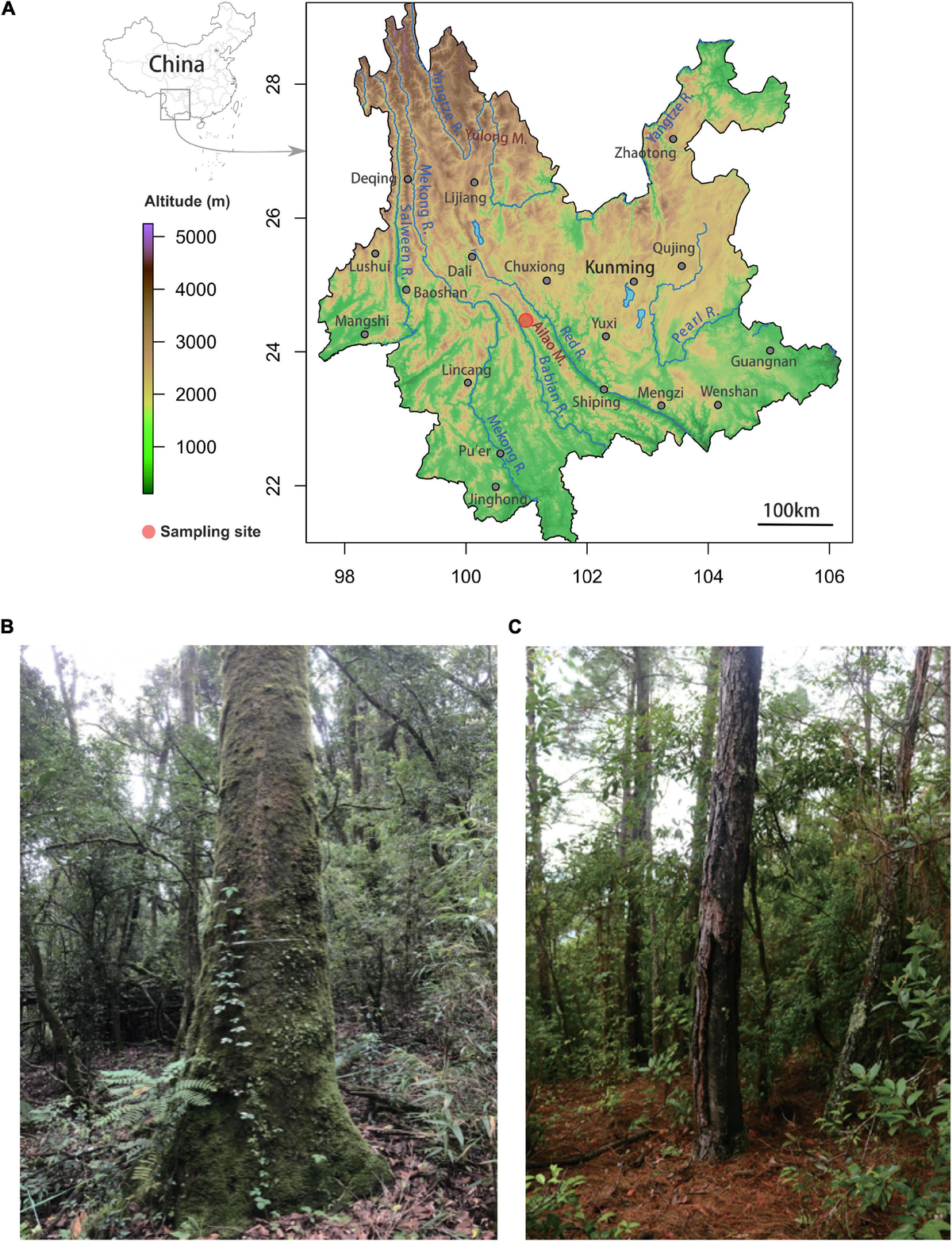 Frontiers | Ecological Drivers of the Soil Microbial Frontiers | Ecological Drivers of the Soil Microbial