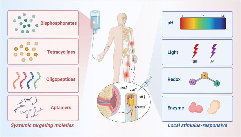 The Effect of Dihydromyricetin (DMY) on the Mechanism of Soy