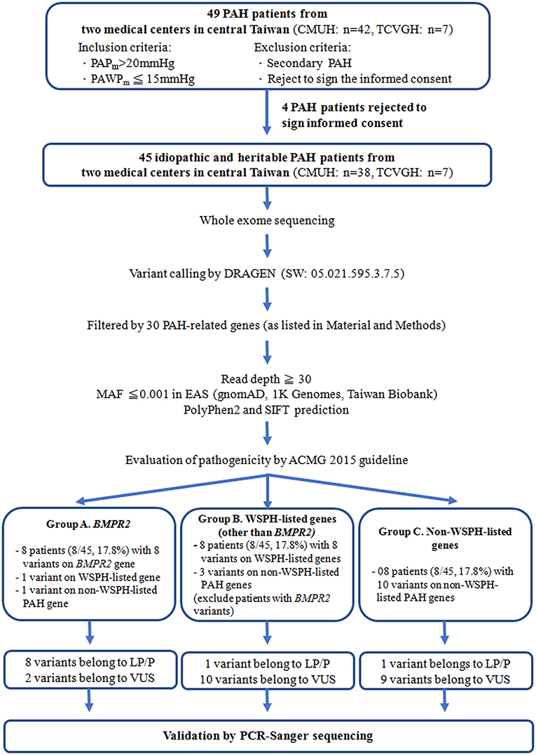 Pulmonary Hypertension Update バックナンバー一覧 | M-Review