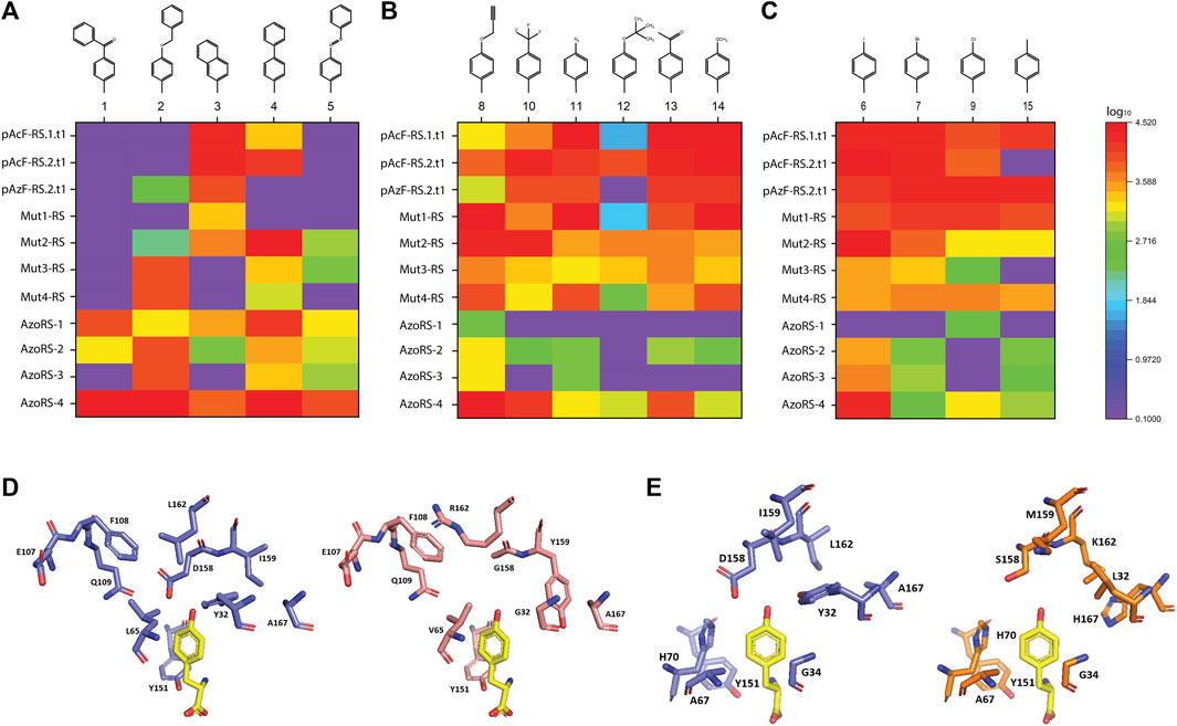 Molecular Insights to the Structure-Interaction