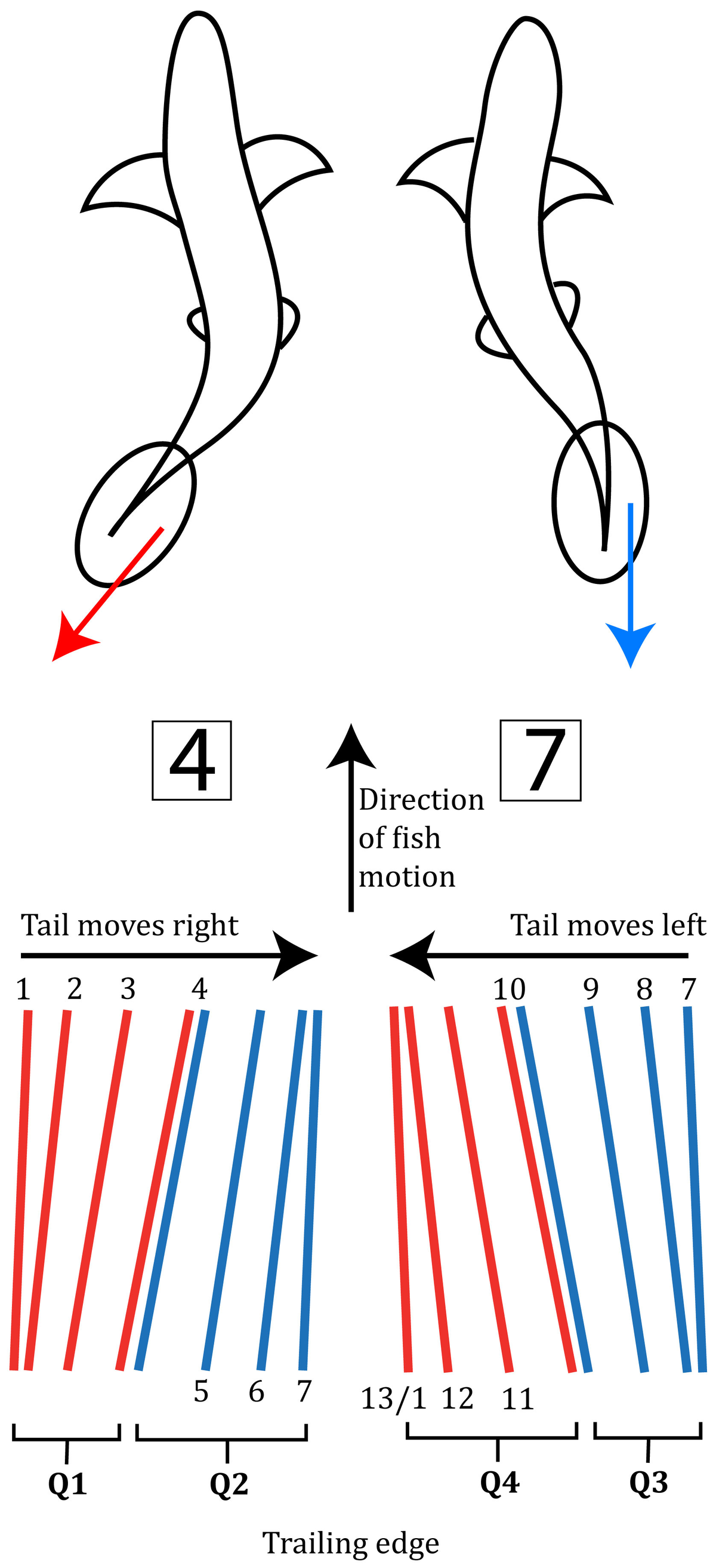 Frontiers | On an adaptation of the Reynolds number, applicable to 