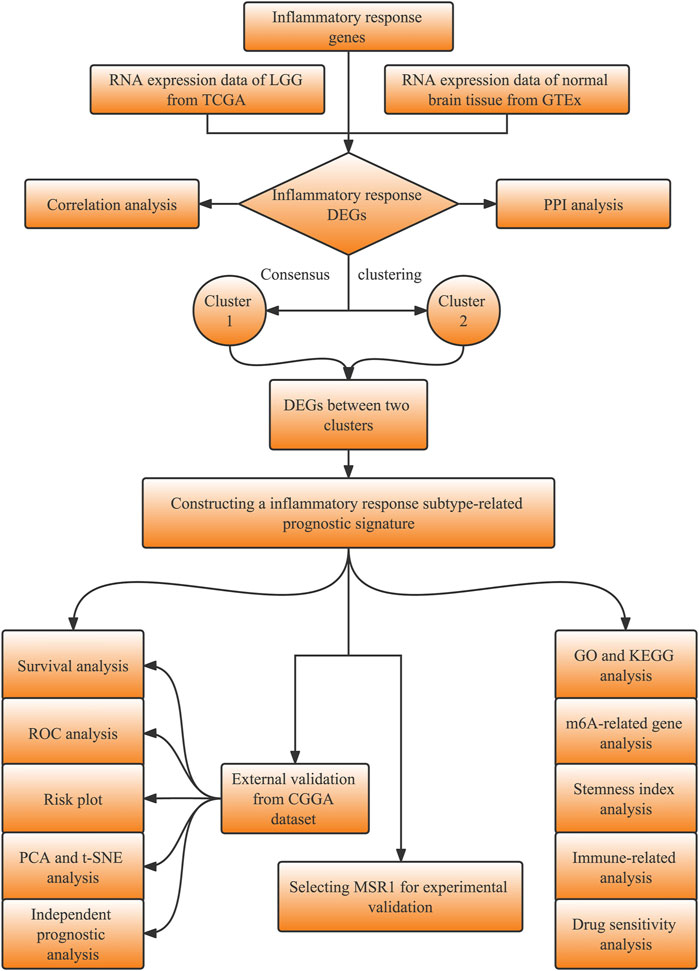 Frontiers | Integrated analysis of inflammatory response