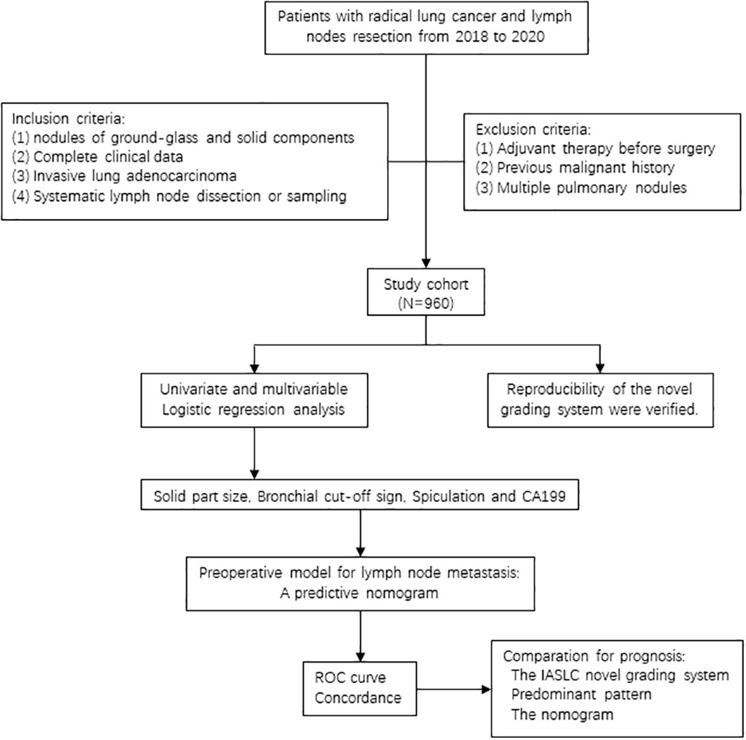 Frontiers | A predictive nomogram for lymph node metastasis