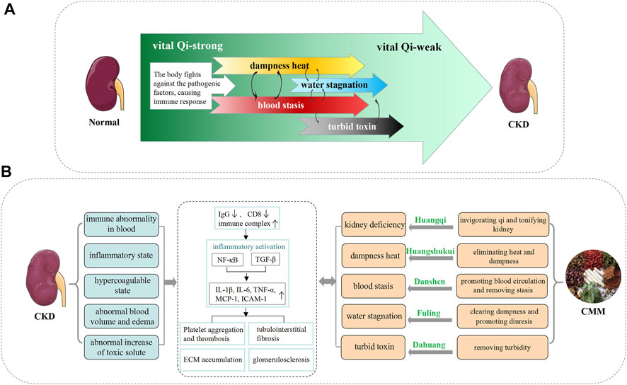 Frontiers | Traditional Chinese Medicine in the Treatment of