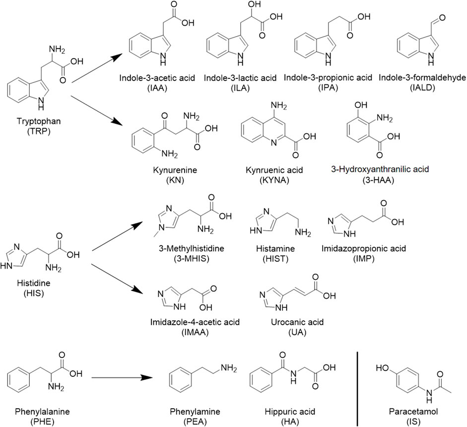 最終決算 Frontiers in metabolites microbiota-derived Gut | 化粧水・ローション・トナー