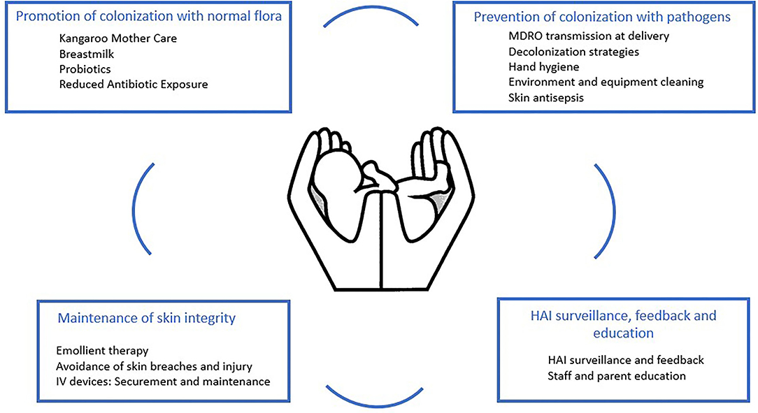 Healthcare-Associated Infection Prevention Interventions for Neonates in Resource-Limited Settings Healthcare-Associated Infection Prevention Interventions for Neonates in Resource-Limited Settings