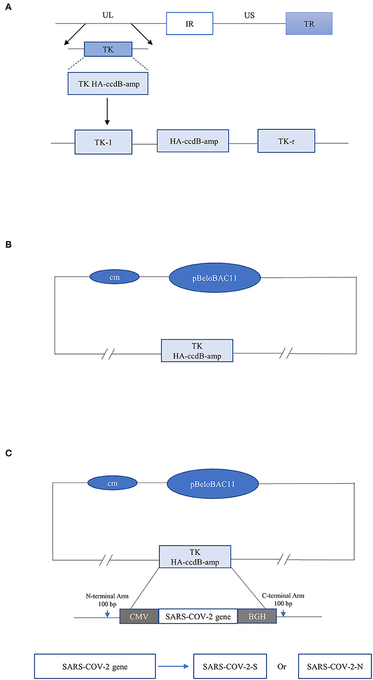 ミルク様 MILKFED. ミルクフェド HALF ZIP SWEAT TOP｜BORN FREE ONLINE SHOP