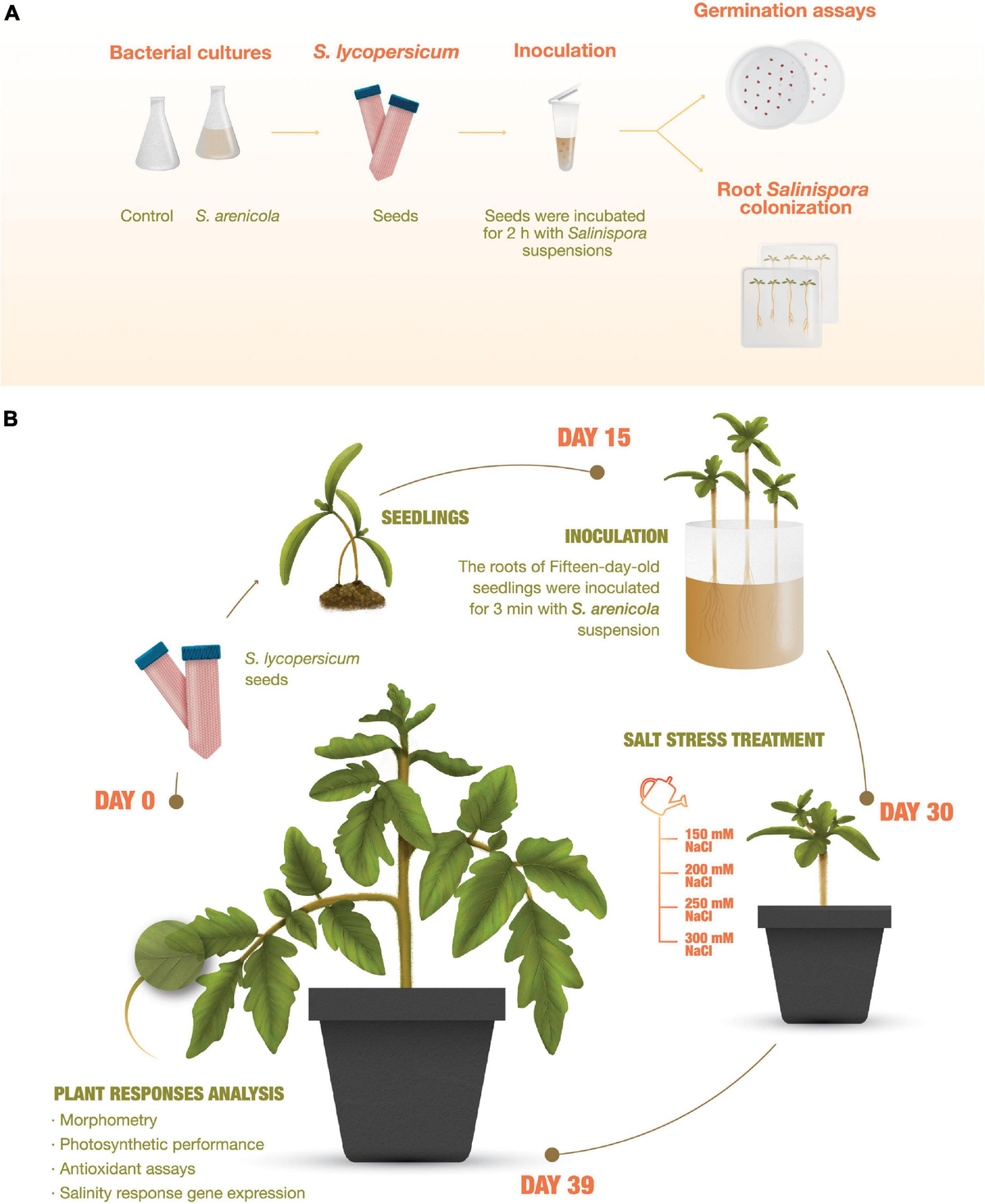 Frontiers | Habitat-adapted heterologous symbiont