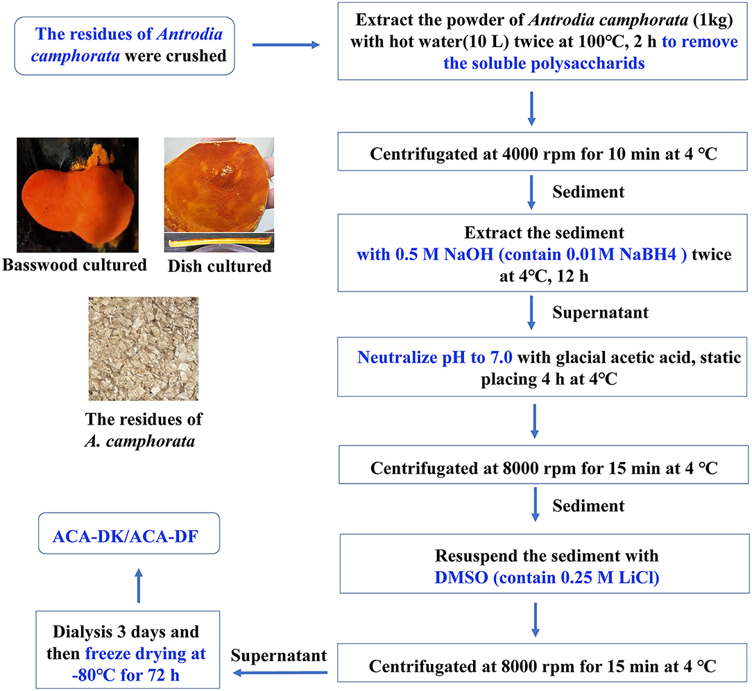 Frontiers | Structural and Potential Functional Properties