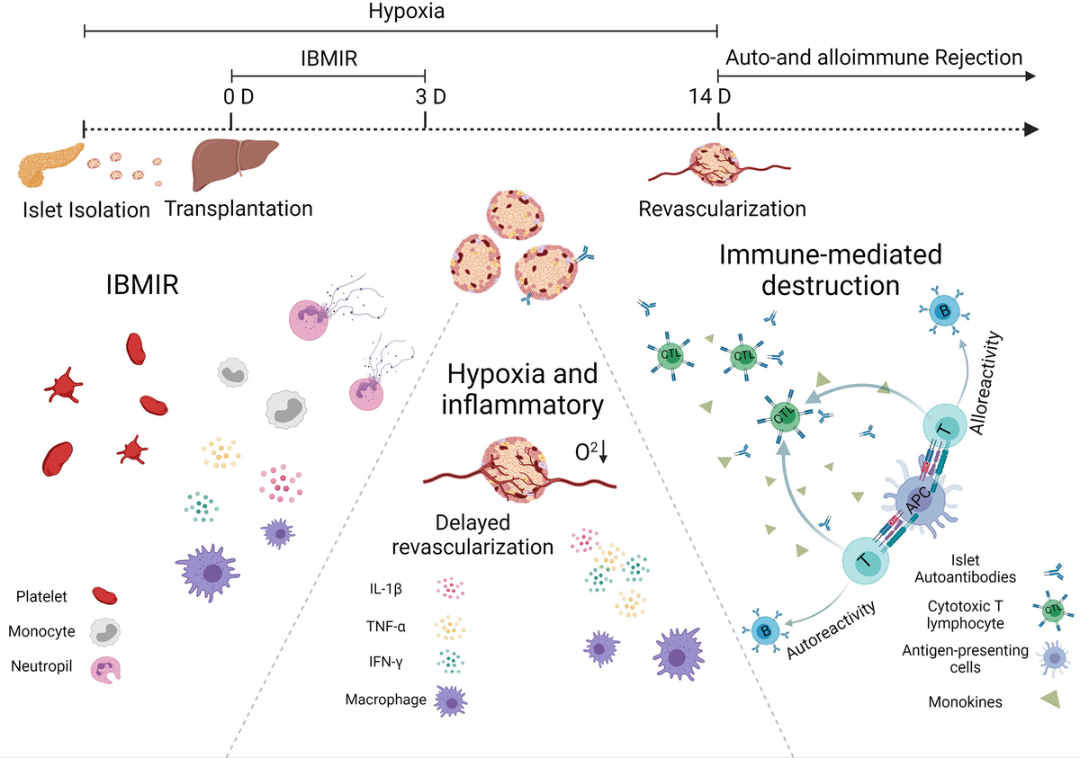 【★超目玉】 | Frontiers Immune-Protective Process and Formulations コンピュータ・IT