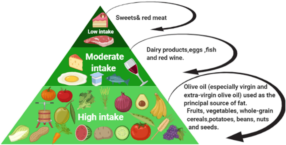 高評価レビュー of effect Chemoprevention | Frontiers the diet Mediterranean メンズウェア