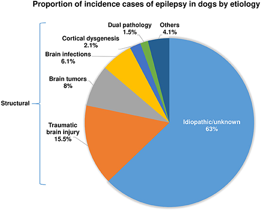 Cost of dog seizure medication shop