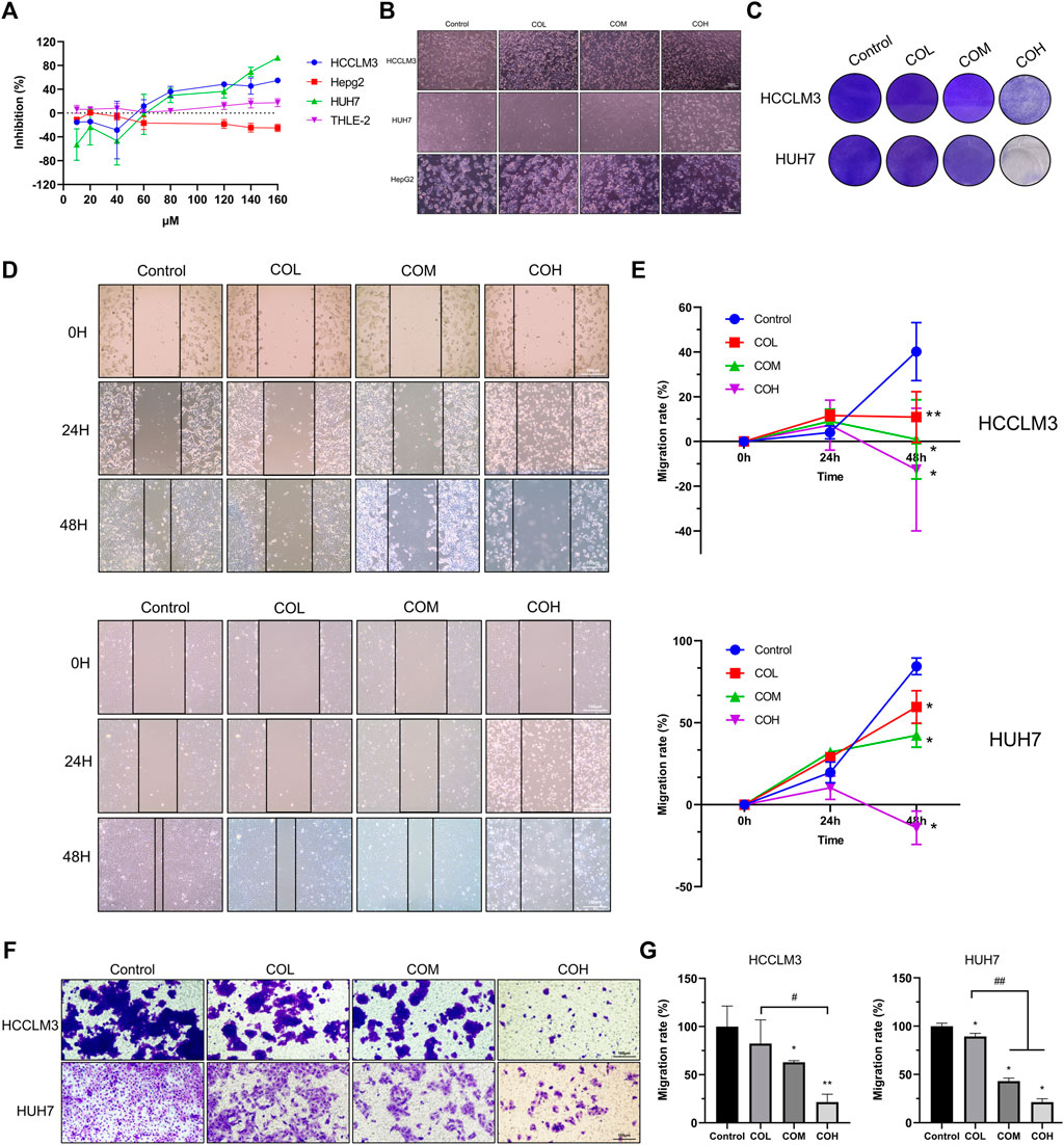 Frontiers | Caryophyllene Oxide Induces Ferritinophagy by Frontiers | Caryophyllene Oxide Induces Ferritinophagy by