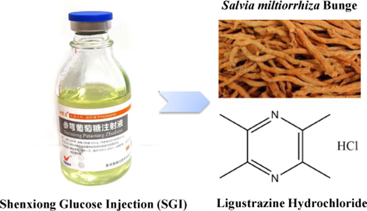 Frontiers | Shenxiong glucose injection inhibits oxidative Frontiers | Shenxiong glucose injection inhibits oxidative