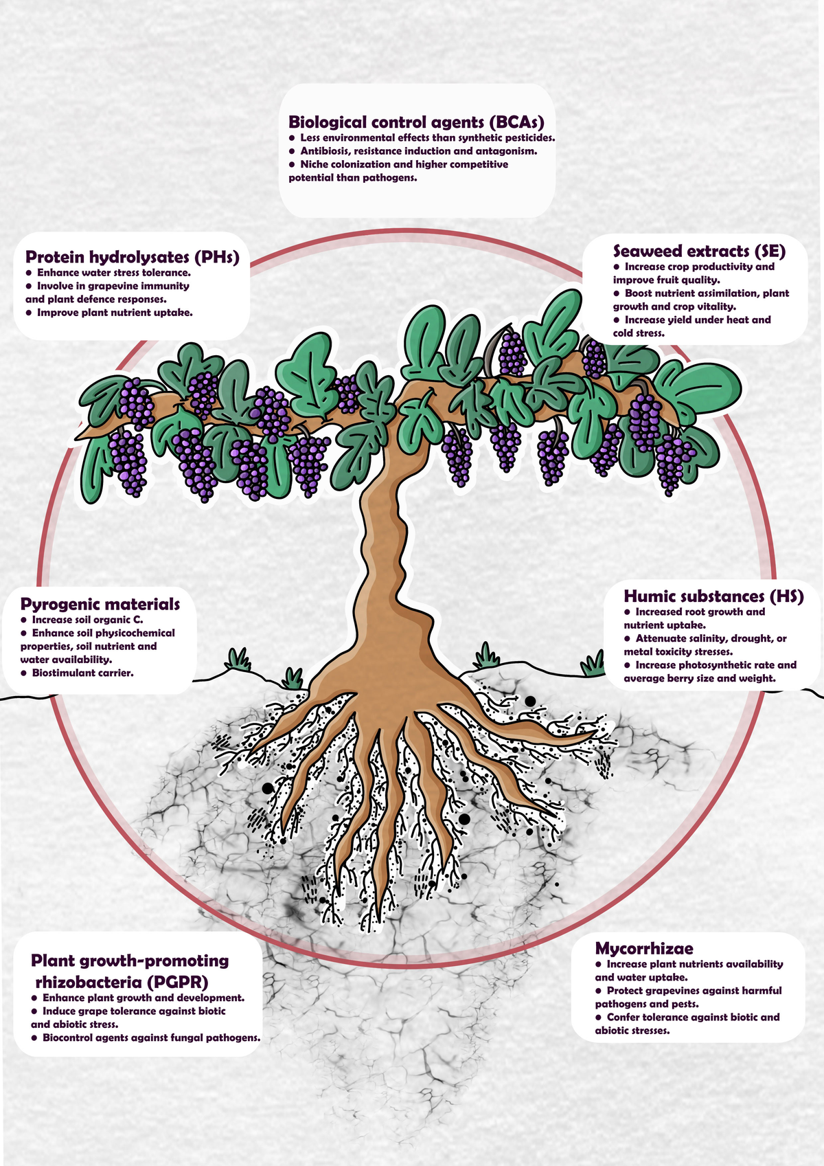 Frontiers | Application of biostimulant products and