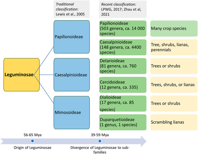 Frontiers | Unraveling Origin, History, Genetics, and