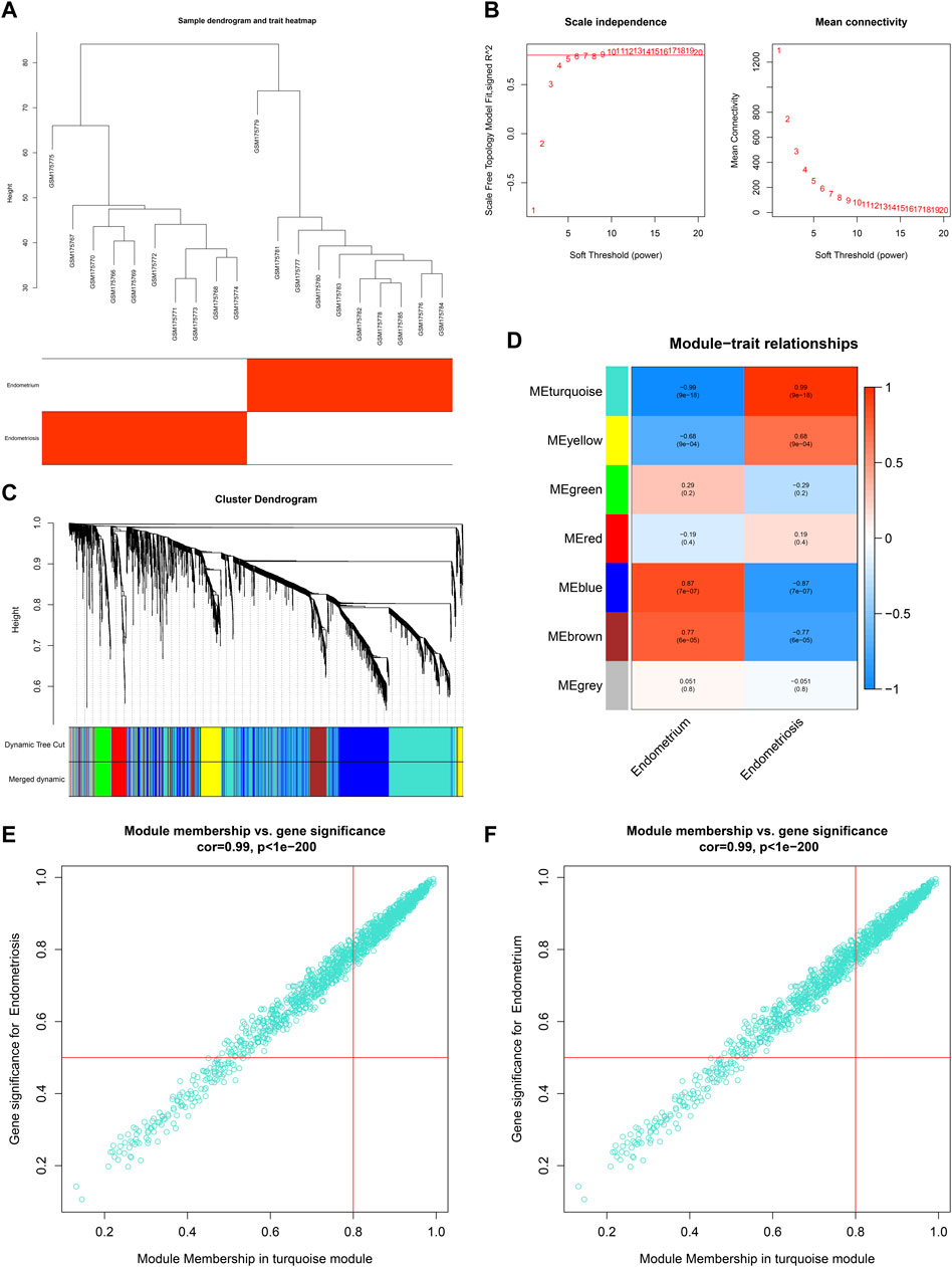 Frontiers | Integrated bioinformatics analysis uncovers characteristic ...