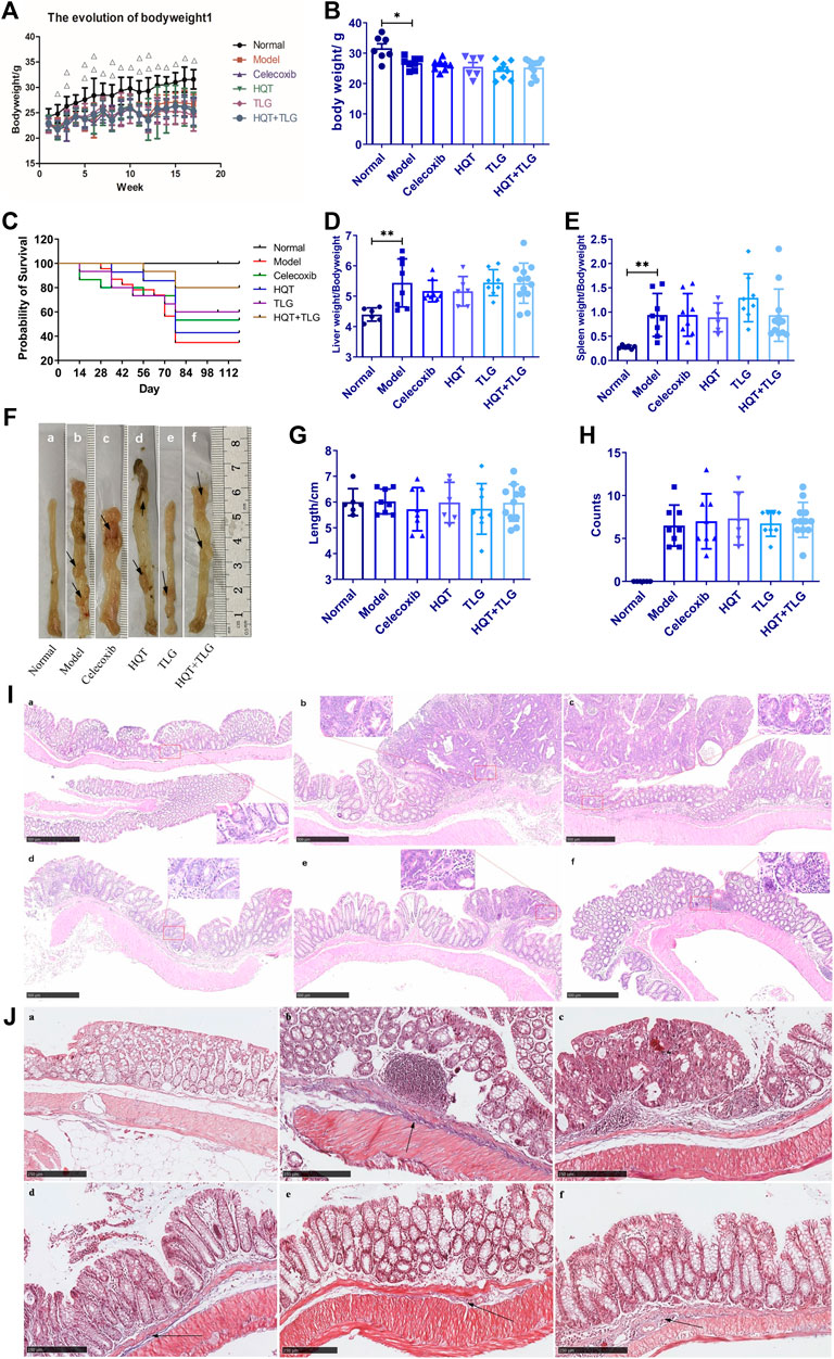 ✨An Atlas of Histology - Shu-Xin Zhang✨ An Atlas of Histology: 9780387949543: Medicine & Health