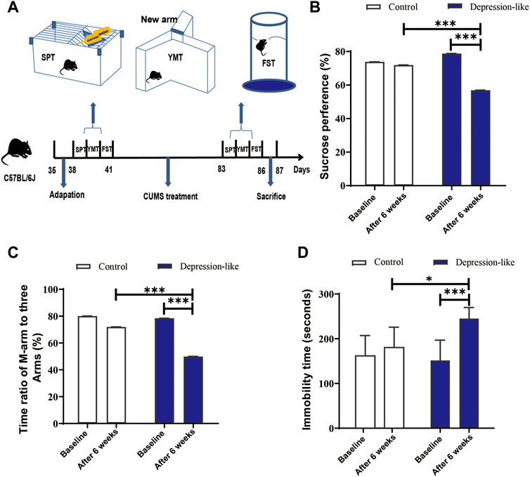Frontiers | Chronic unpredictable mild stress-induced mouse