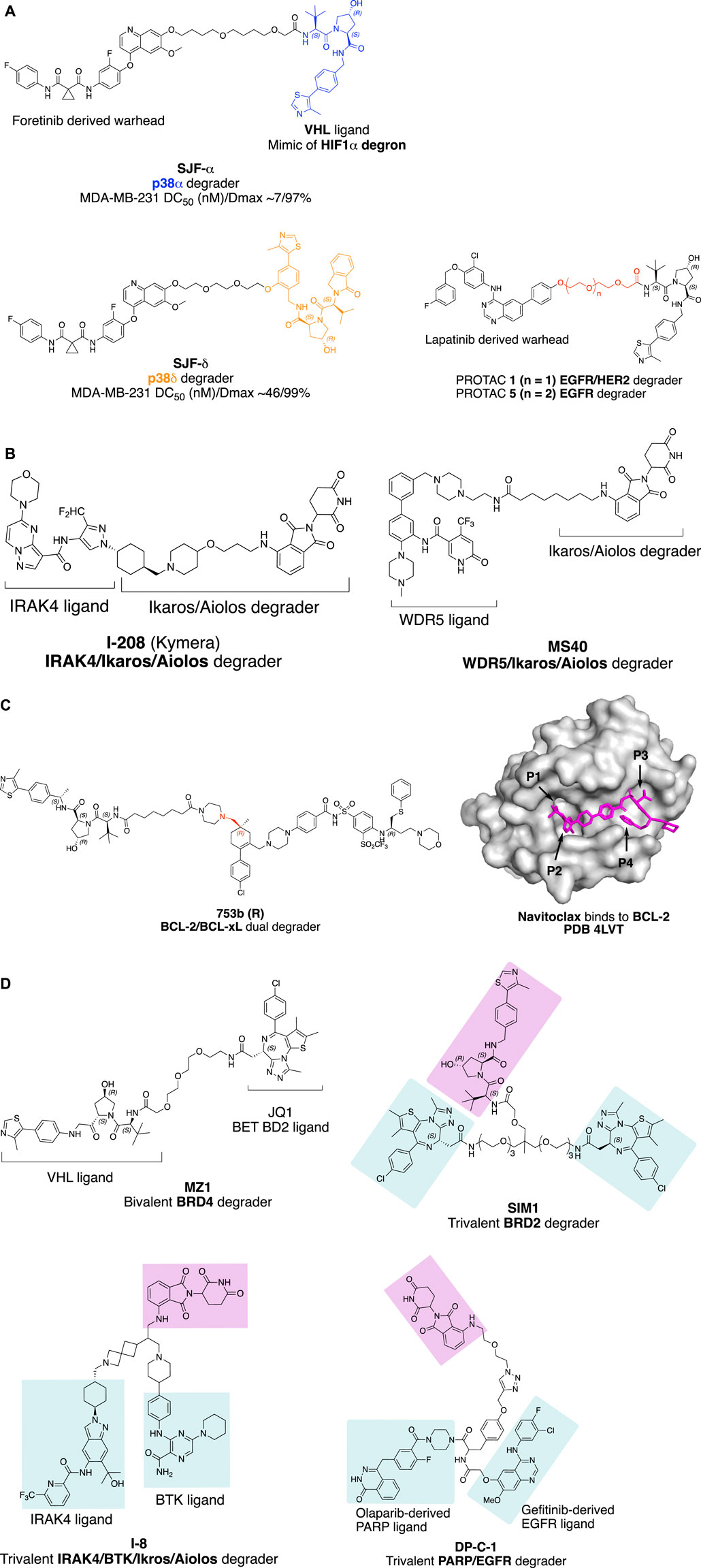 Frontiers | Key Considerations in Targeted Protein Degradation Drug Discovery and Development frontiers-key-considerations-in-targeted-protein-degradation-drug-discovery-and-development