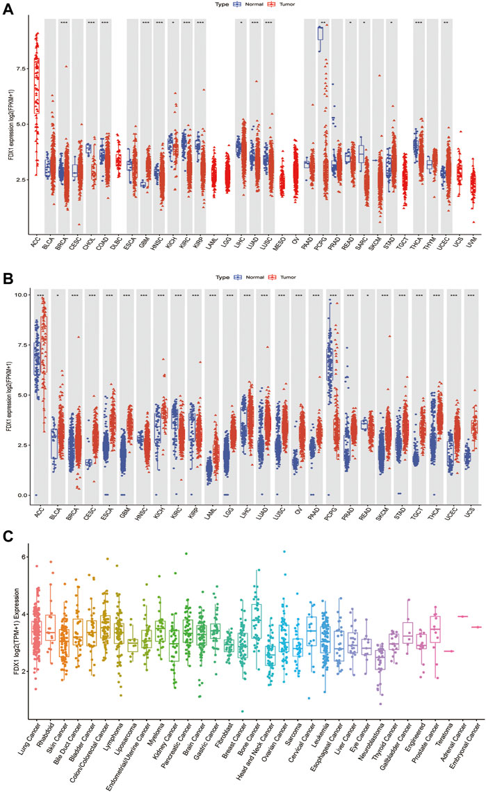 OCTアトラス Frontiers | Bioinformatics-based construction of prognosis