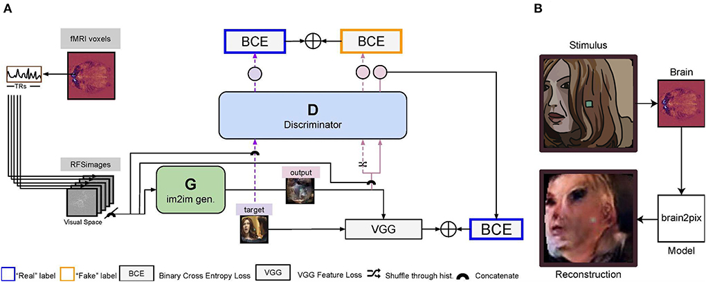 Frontiers | Brain2Pix: Fully convolutional naturalistic