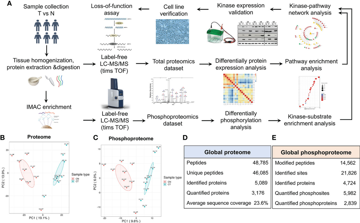 ◎Clinical Proteomics: Methods and Protocols英語版