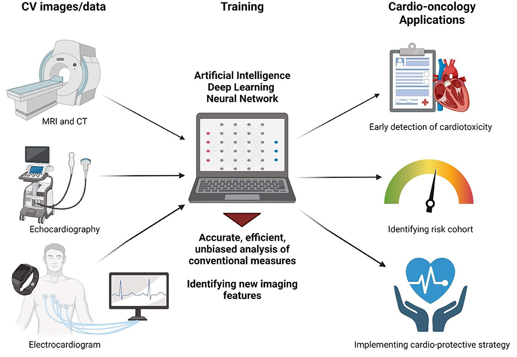 Frontiers | Artificial intelligence applications in cardio 