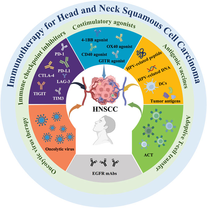 Introductory Chapter: Head and Neck Cancer | IntechOpen