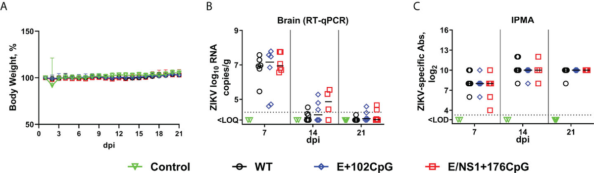 Frontiers | CpG content in the Zika virus genome affects Frontiers | CpG content in the Zika virus genome affects