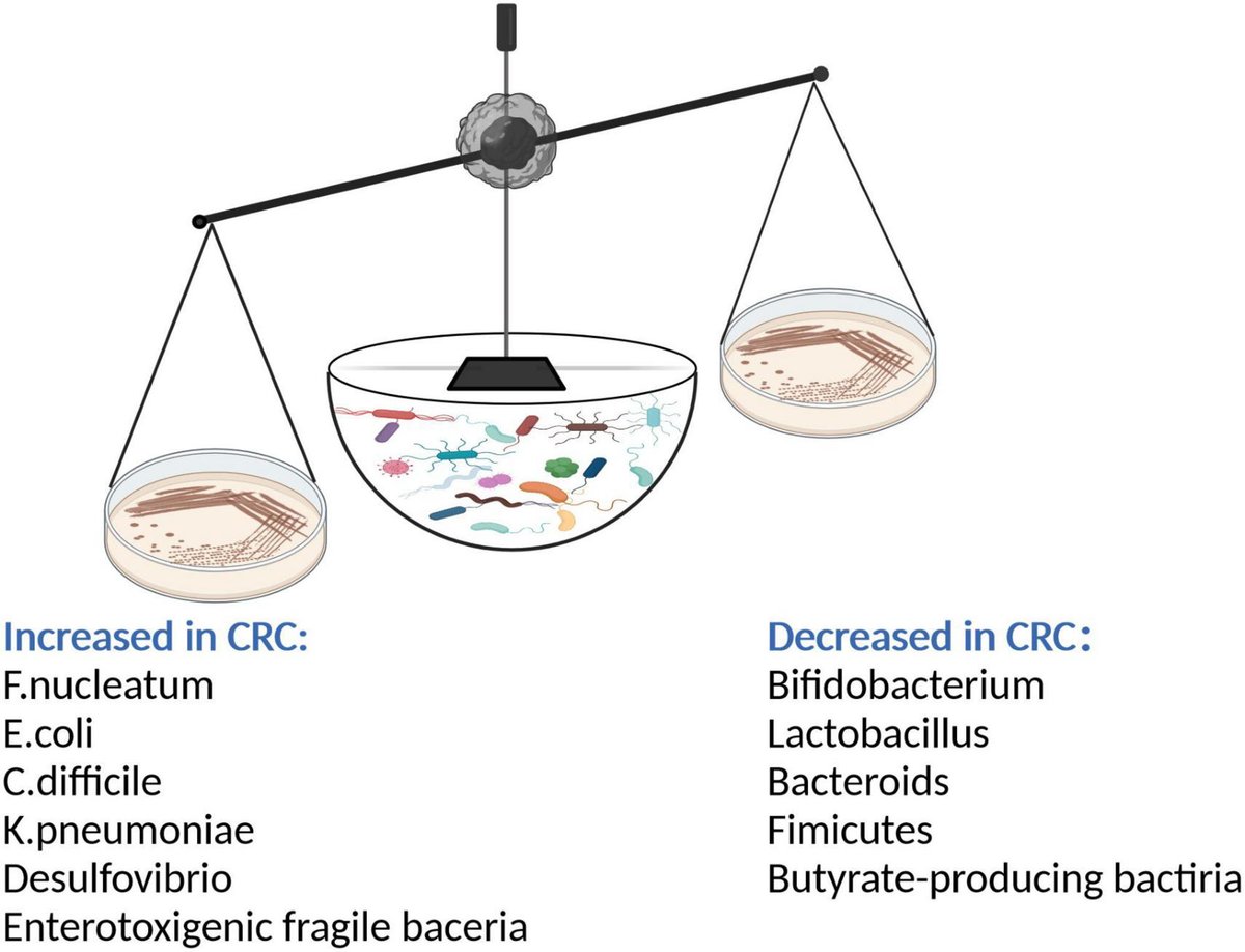福袋 大丸 to approaches Therapeutic | Frontiers colorectal via cancer トレーニング用品