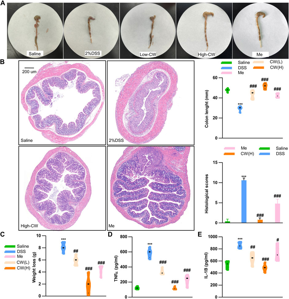 Frontiers | The Cao-Xiang-Wei-Kang formula attenuates the