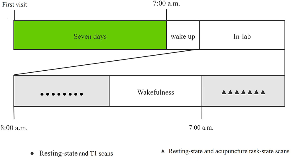 Advances in Cognitive Neurodynamics: Proceedings of the International Conference on Cognitive Neurodynamics - 2007 Wang， Rubin? Gu， Fanji; Shen， Enhua Advances in Cognitive Neurodynamics: Proceedings of the