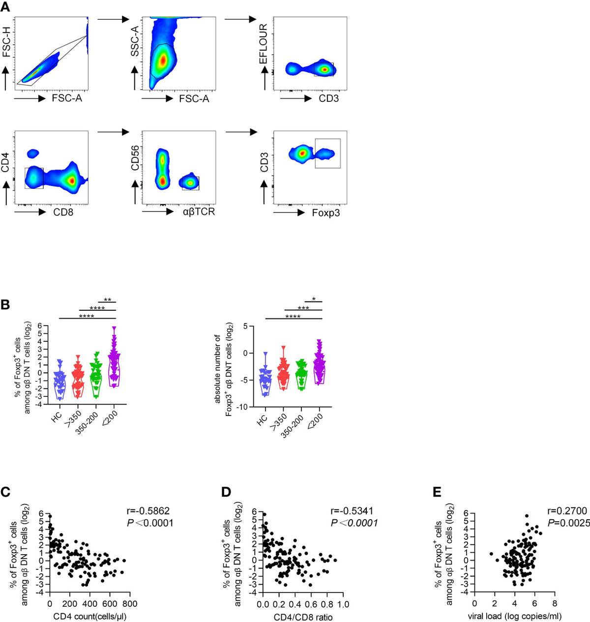 Frontiers | Elevated Foxp3+ double-negative T cells are