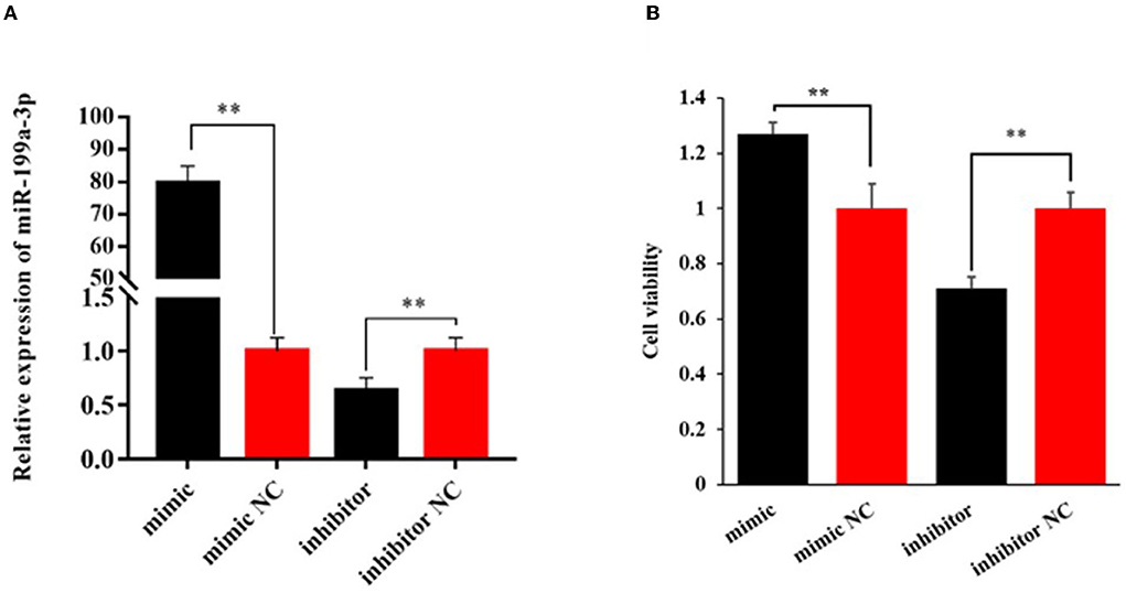 my- Dissecting miRNA–Gene Networks to Map Clinical Utility Roads