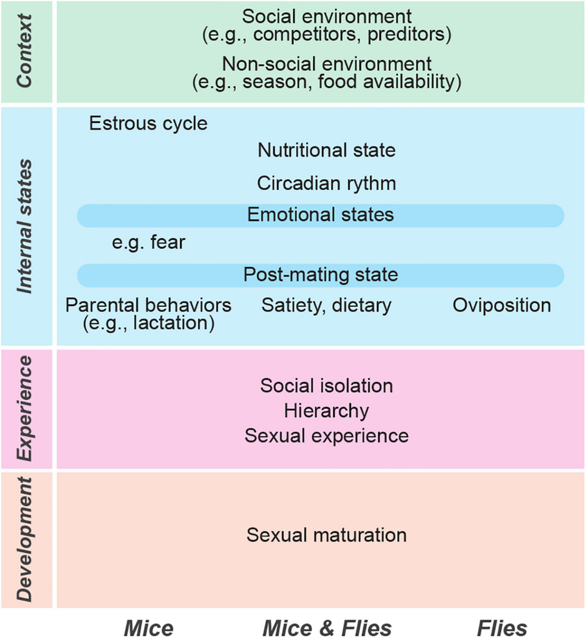ls siberian mouse naked Frontiers | Flexibility of neural circuits regulating mating behaviors in  mice and flies