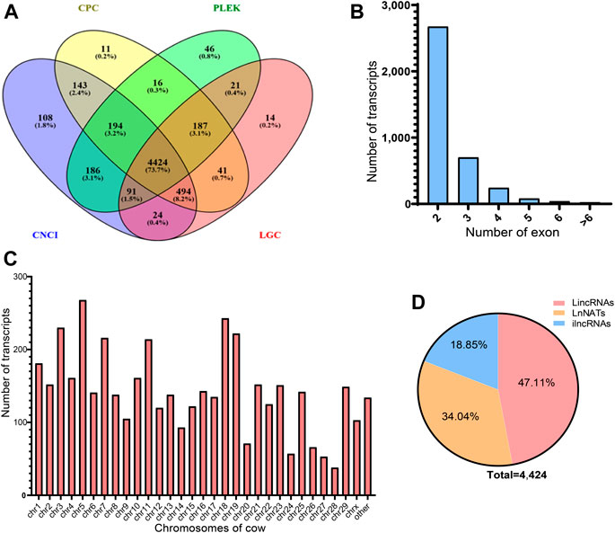 Frontiers | Characterization of peripheral white blood cells