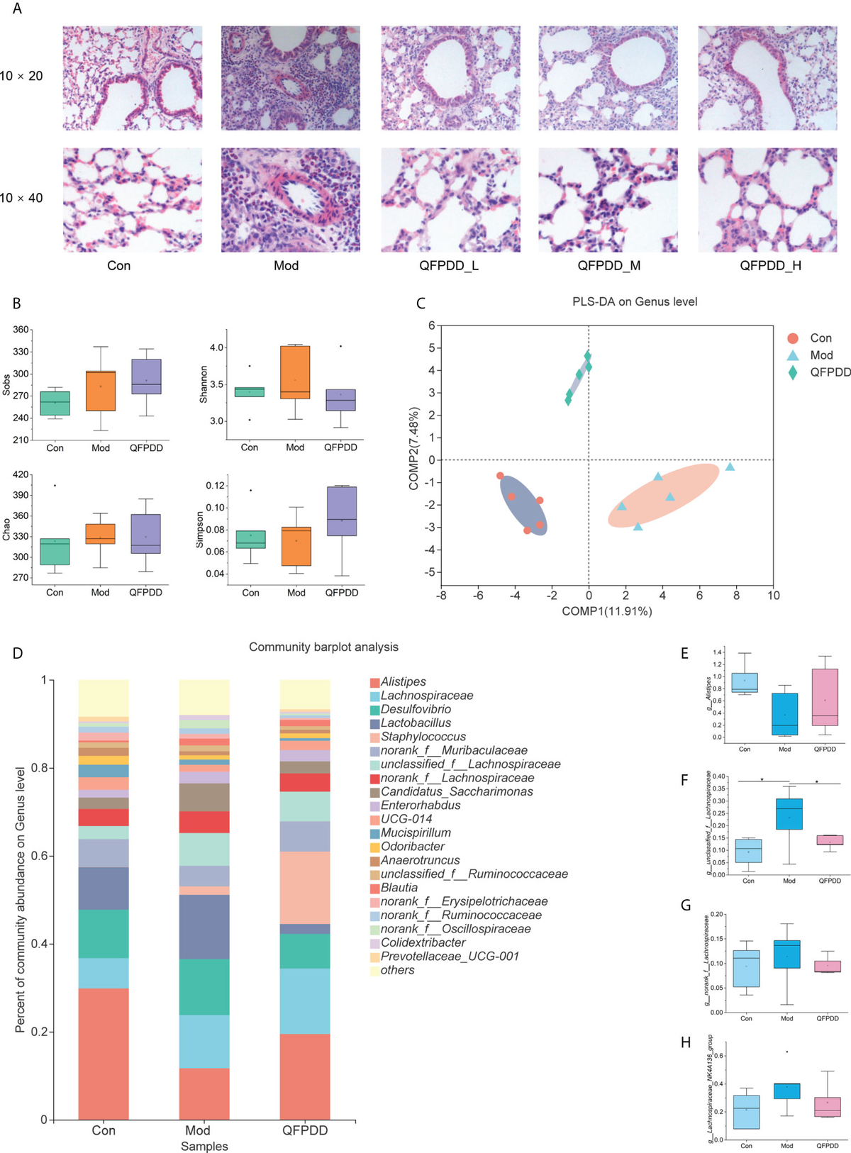 Frontiers | Integrated microbiome and metabolome analysis