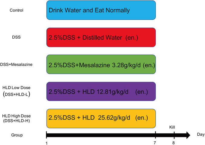Frontiers | Huangkui lianchang decoction attenuates