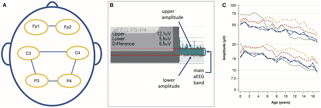 Frontiers | The impact of age and electrode position on