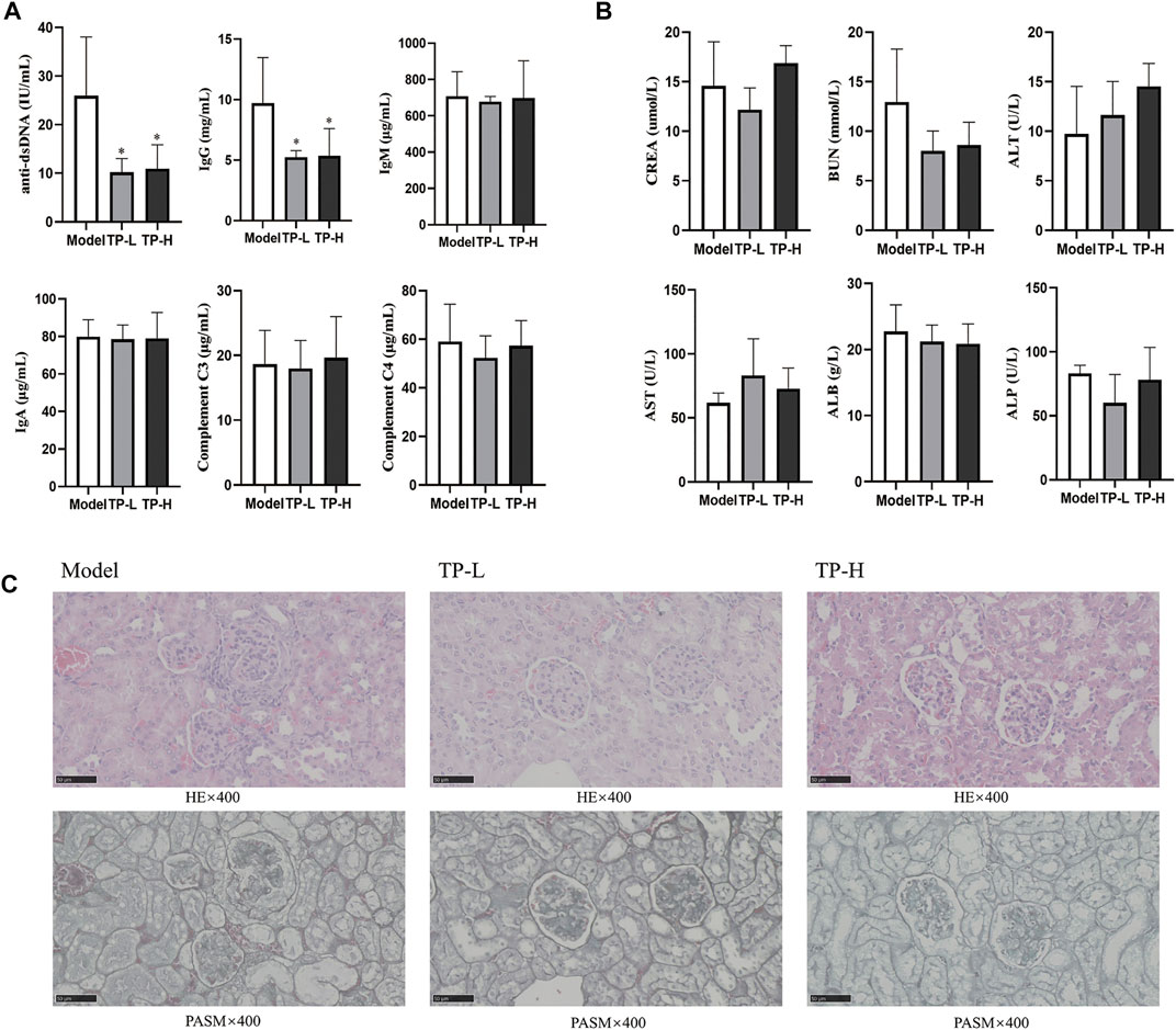 Frontiers | Triptolide in the treatment of systemic lupus Frontiers | Triptolide in the treatment of systemic lupus