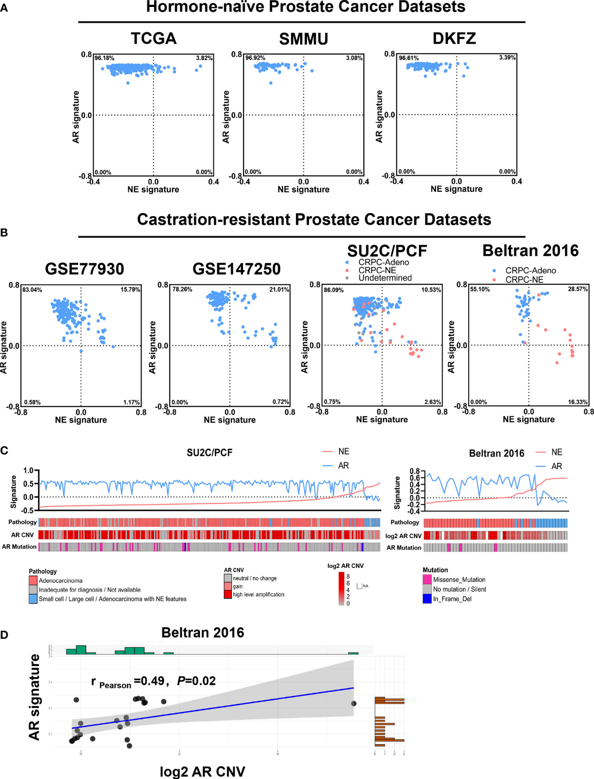 Frontiers | Comprehensive analysis of androgen receptor