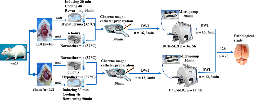 Review of Temperature Management in Traumatic Brain Injuries