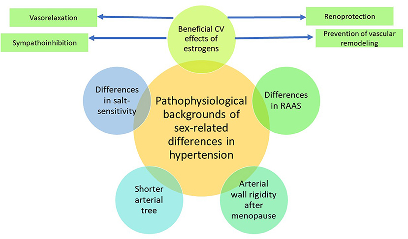 Порно кастинг галереялары