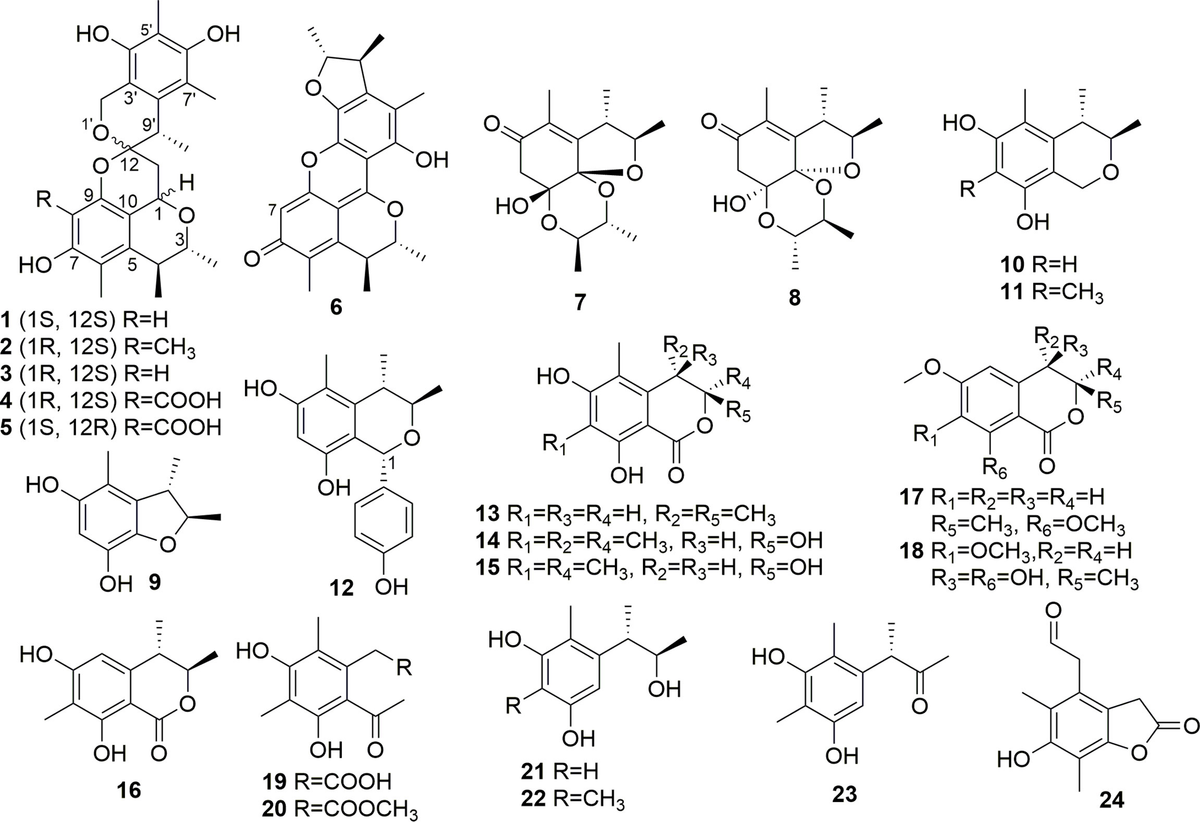 パート1 Delivery of a fibrin-binding hemostatic polymer ameliorates