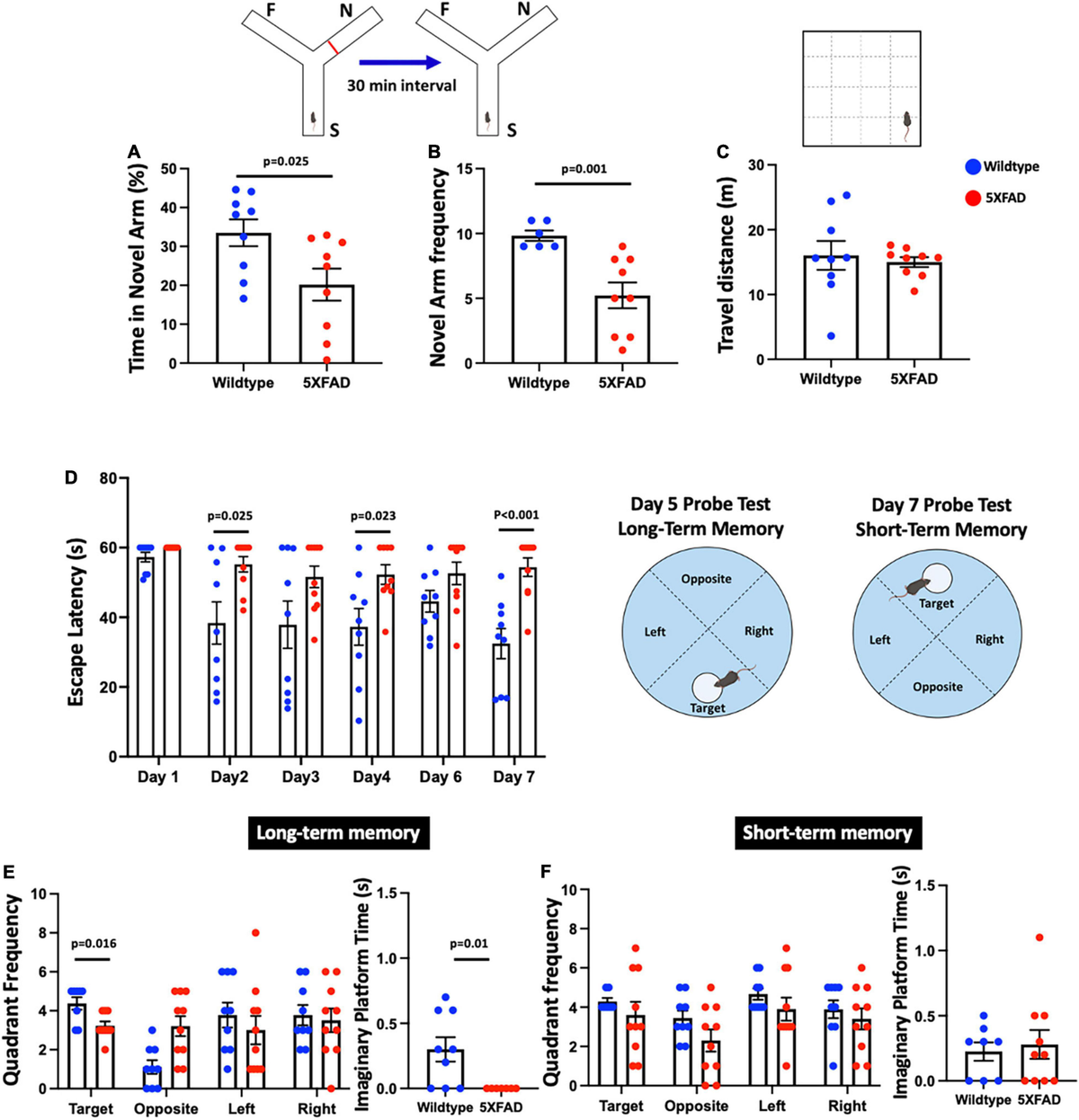 Frontiers Distribution and interregional relationship of amyloid