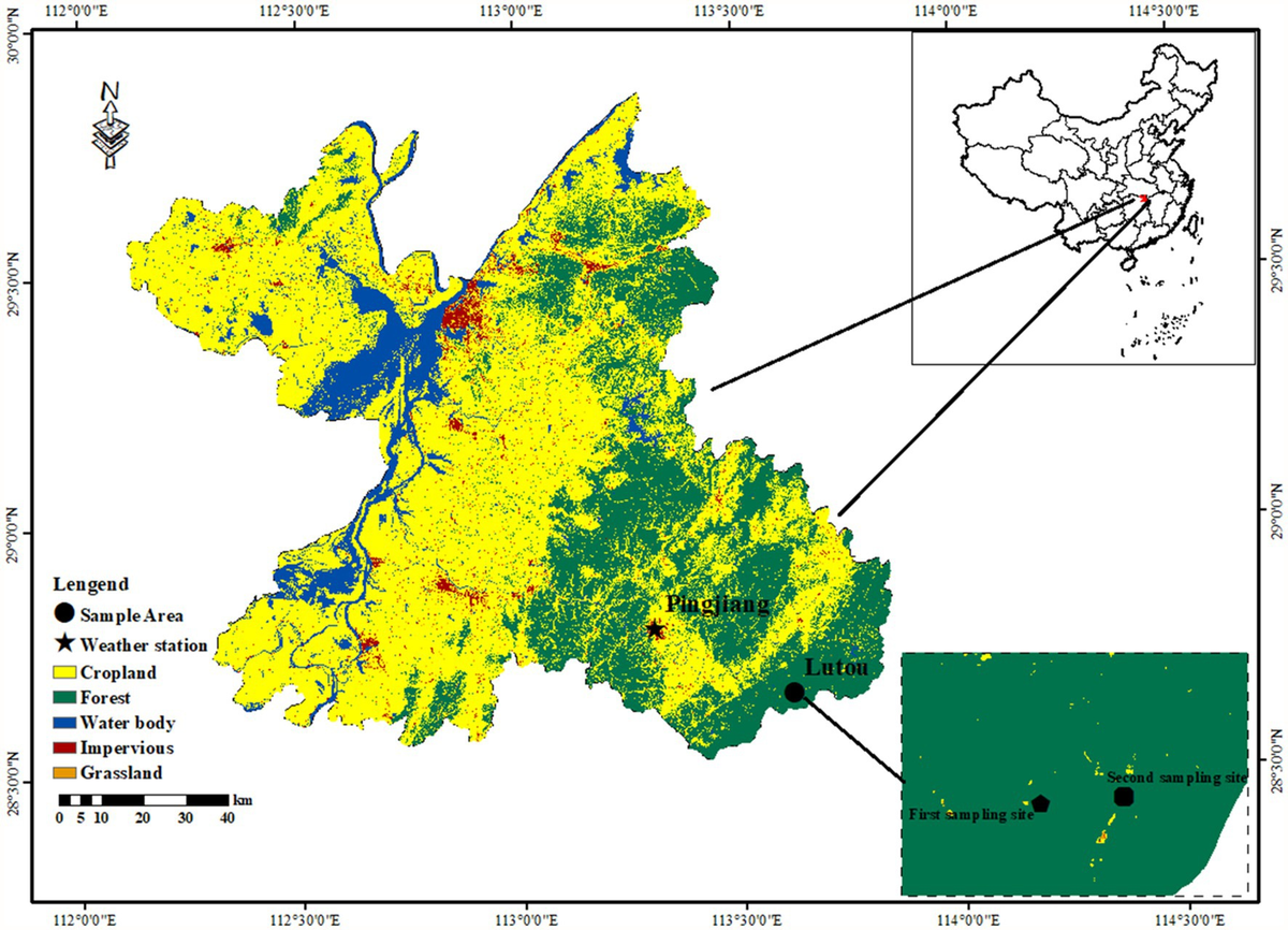 Frontiers | Warming-induced drought leads to tree growth