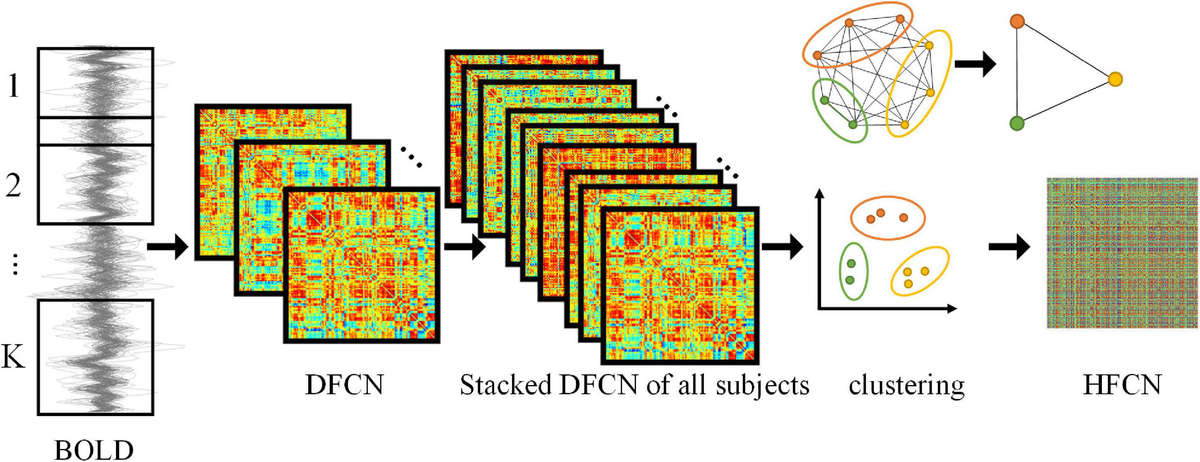 Frontiers | Temporal-spatial dynamic functional connectivity