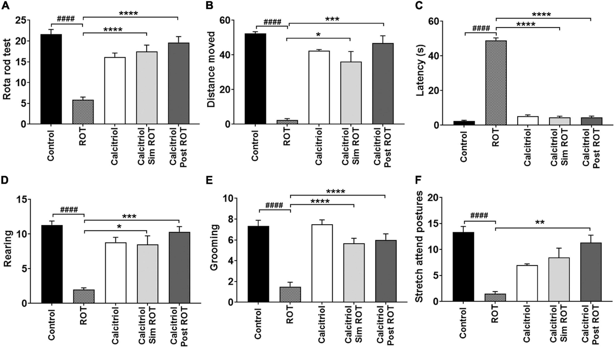 Frontiers | Neuroprotective and therapeutic effects of
